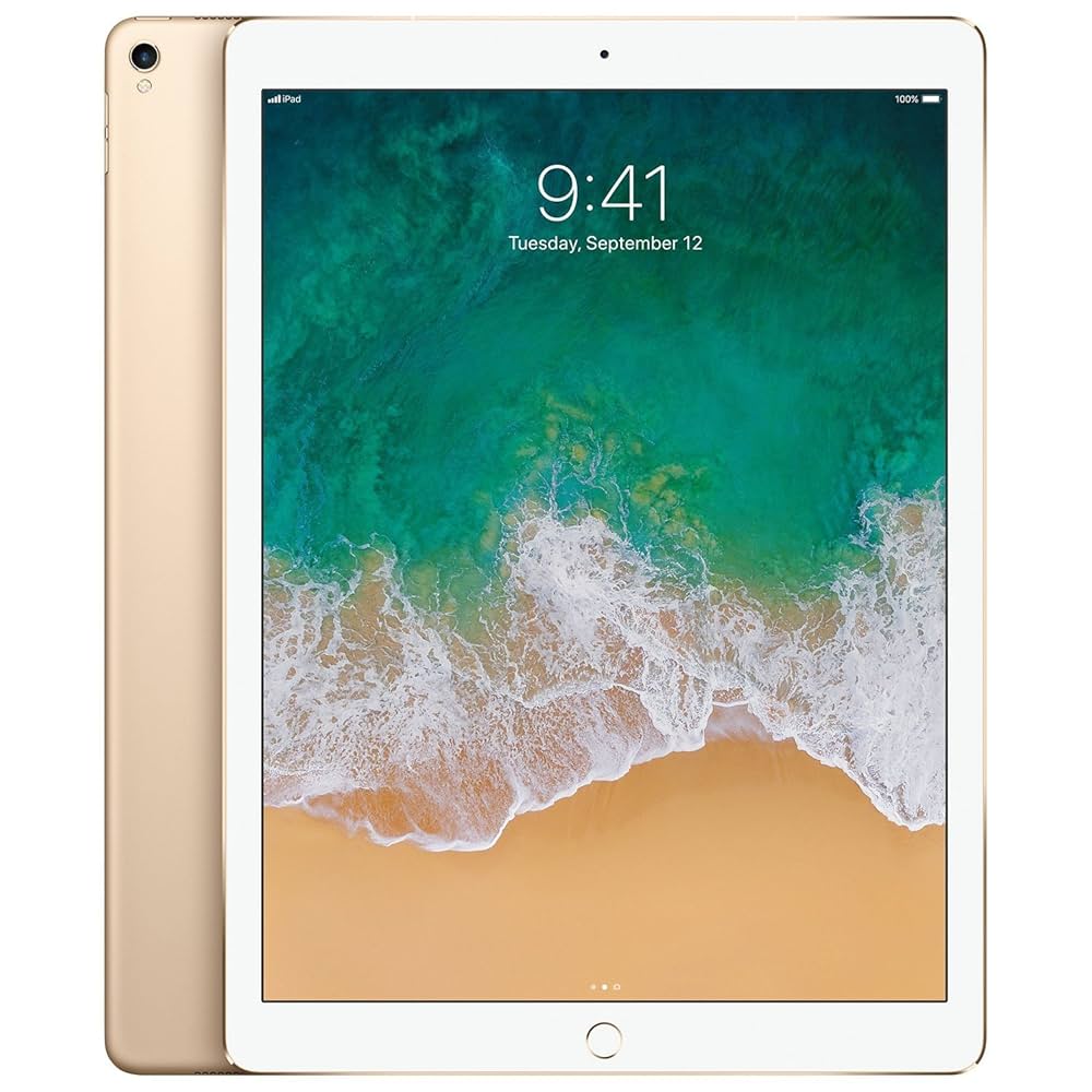 Apple - iPad Air (Latest Model) with Wi-Fi + Cellular - 64GB